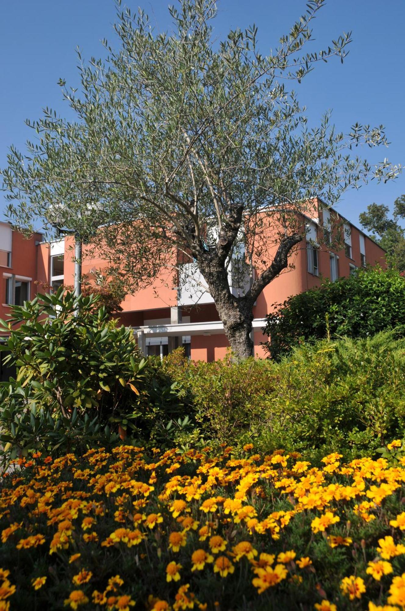 Centro Magliaso Otel Dış mekan fotoğraf